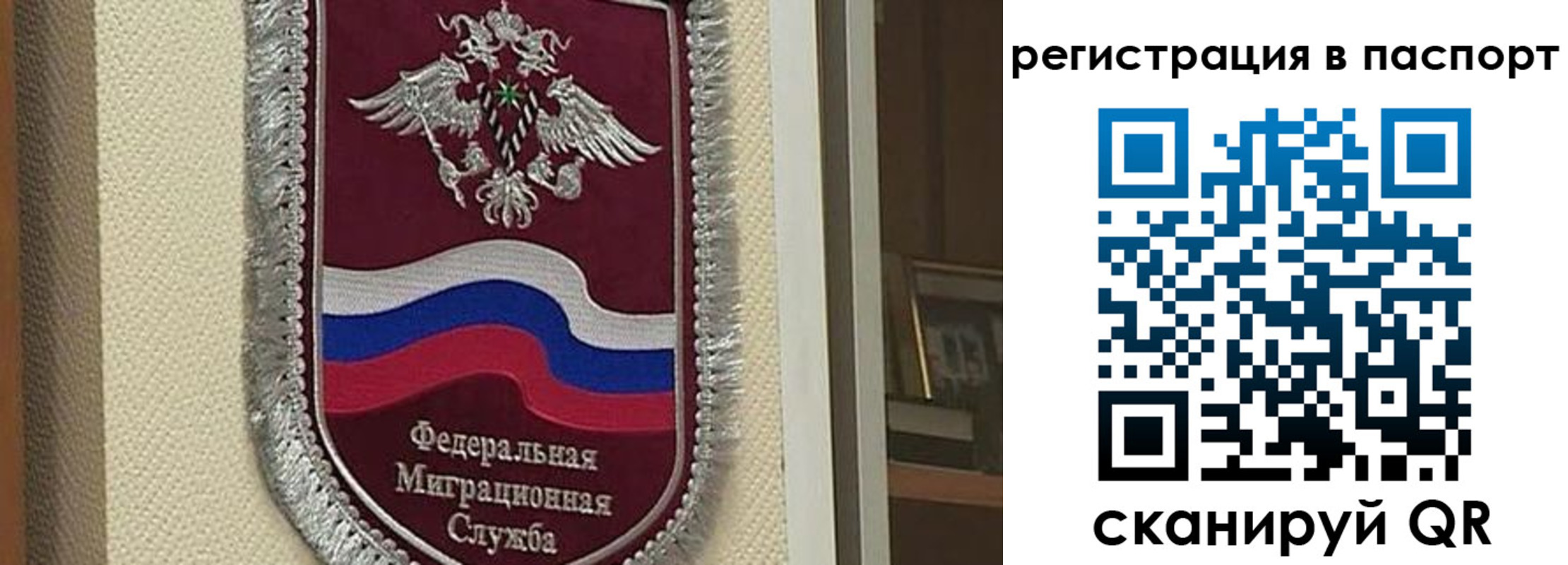 прописка законно в Лузе